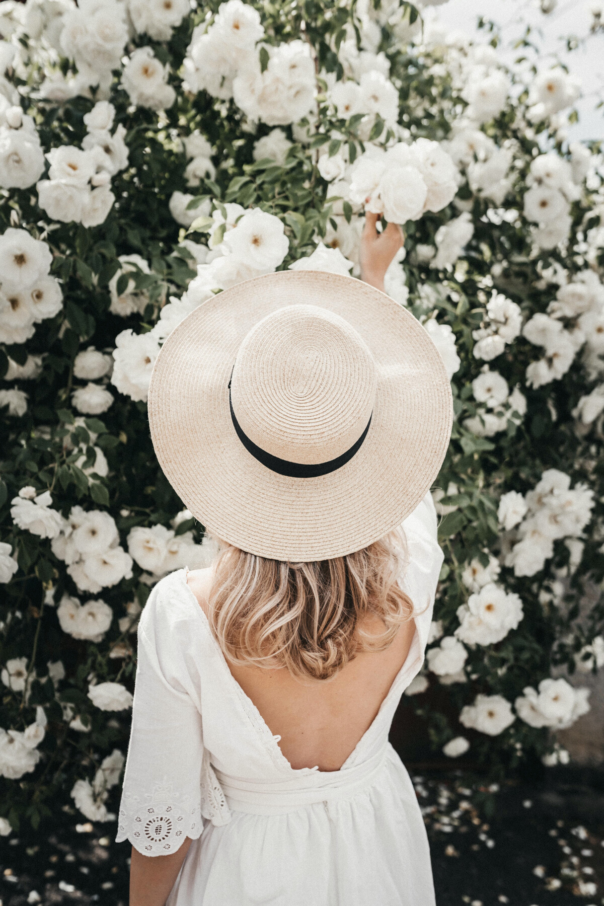 Woman in Summer Hat Near White Roses